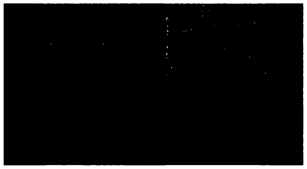 Gray scale correction method of road surface image based on linear array camera