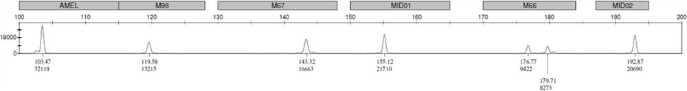 PCR amplification system and detection kit for genotyping of three SNP loci related to human folic acid metabolism