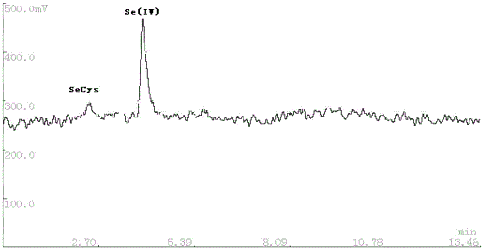 Detection method of selenium form in aquatic products