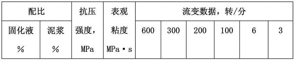 Gel curing solution and preparation method thereof