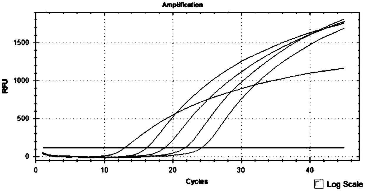 Primer probe group and kit for combined detection of Sindbis virus and Getah virus based on dual fluorescence PCR method