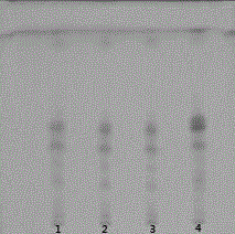 Thin-layer chromatography identification method of carbonized herb processed product