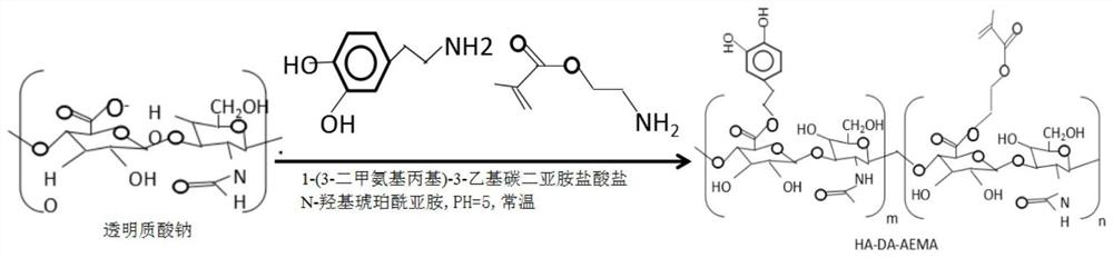 A preparation method of anti-intestinal adhesion bilayer biogel and bilayer biogel