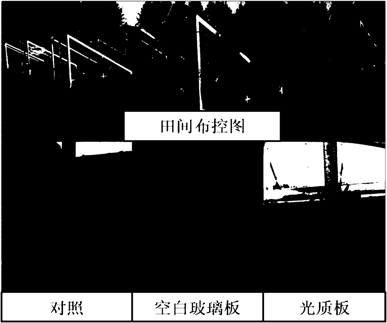 Light and soil fertility control planting method for alfalfa in high-latitude cold region