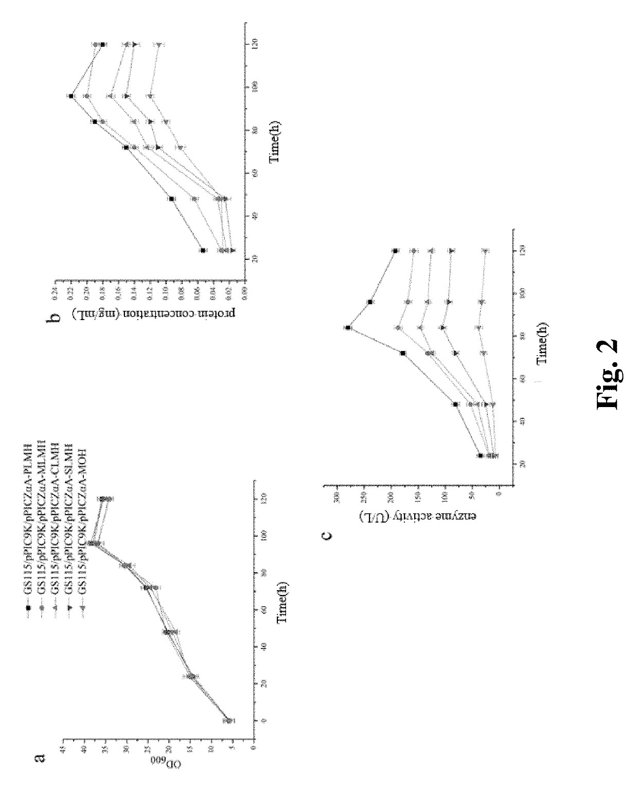 Methods for improving expression levels of foreign proteins by means of phospholipase fusion expression