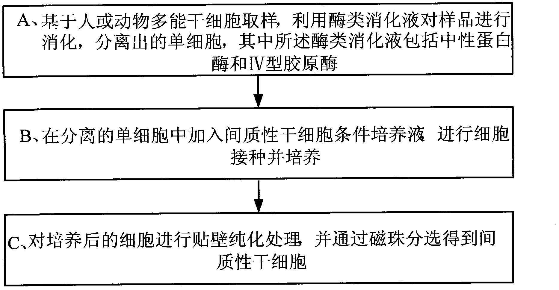 Method for extracting mesenchymal stem cells from pluripotent stem cells of people or animals