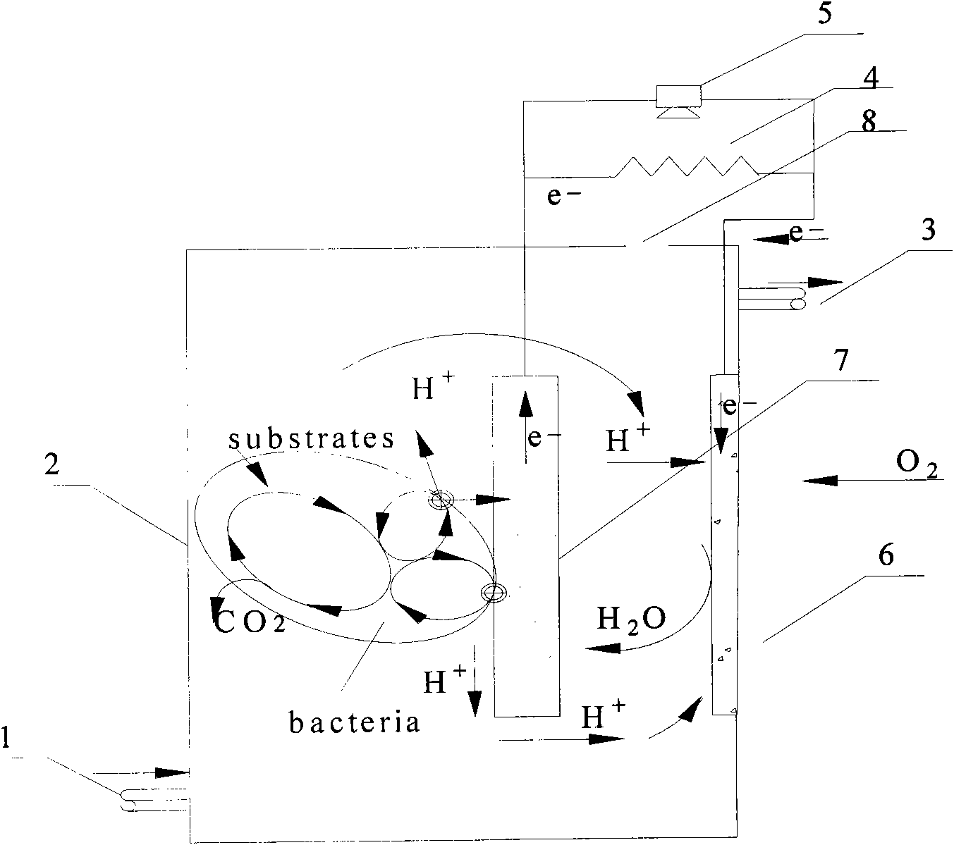 Microbial fuel cell and method for enhancing electricity generation performance of microbial fuel cell