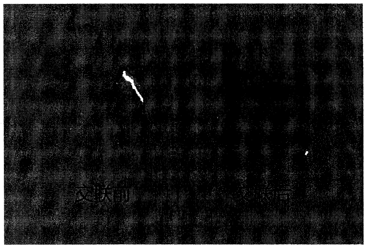 Alkaline anion-exchange composite membrane with high mechanical properties, and preparation and application thereof