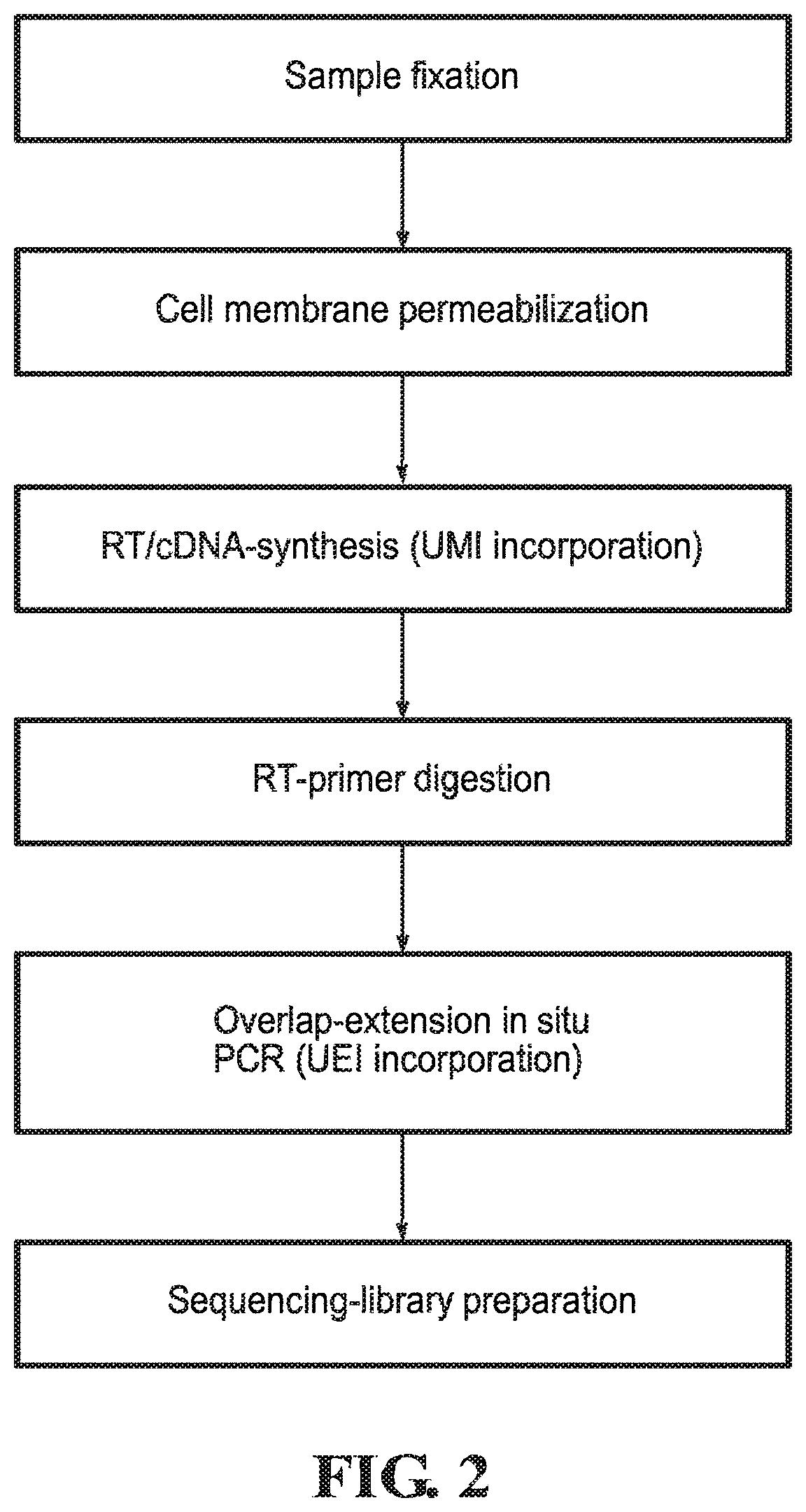 DNA microscopy methods