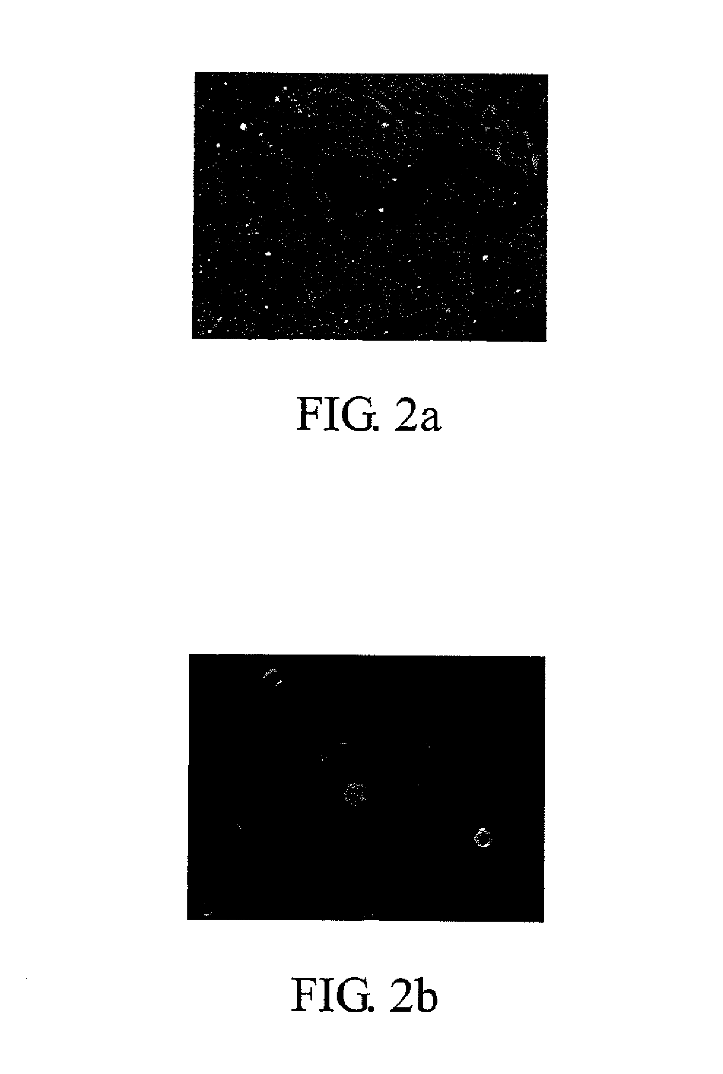 Controlled release system and manufacturing method thereof