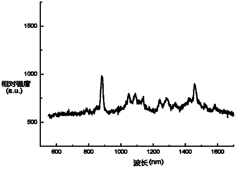 Application of a core-shell nanoparticle