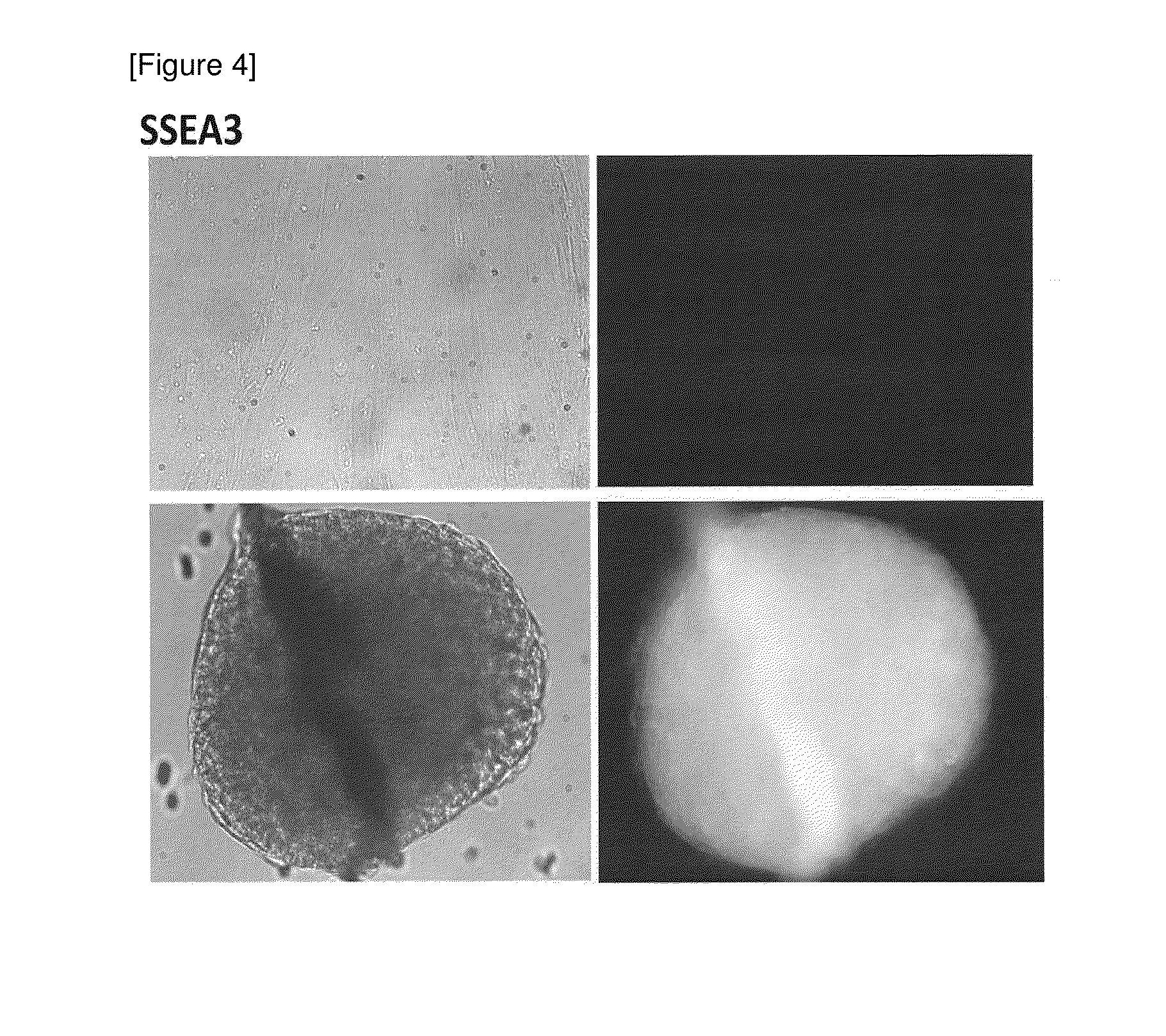 Method for preparing pluripotent stem cells