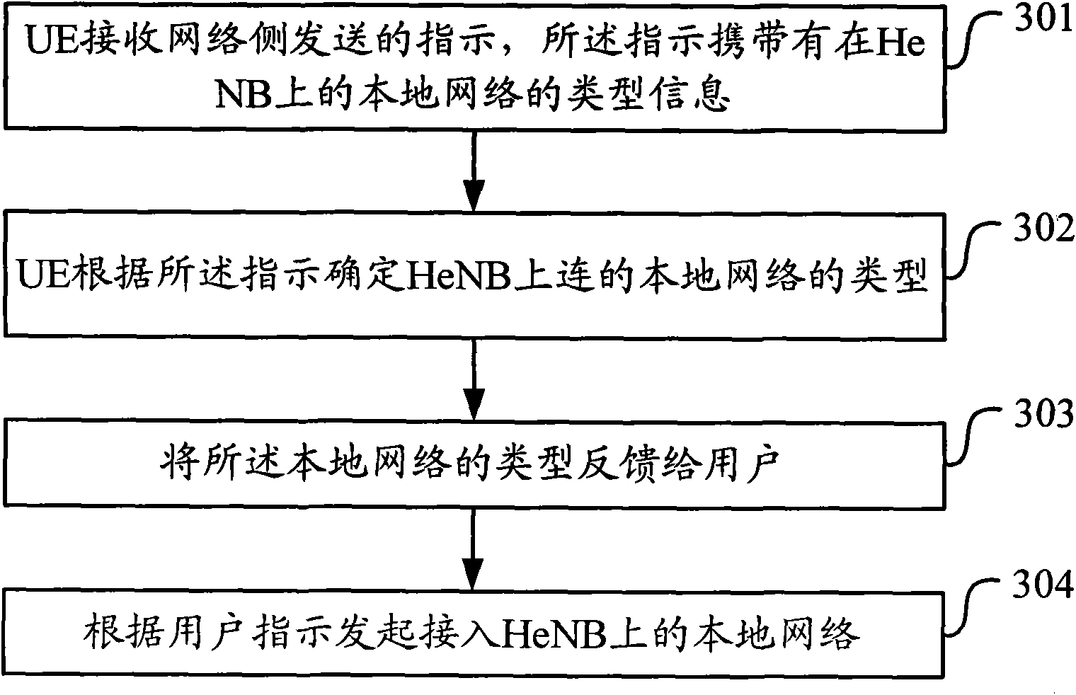 Evolutionary Home NB local network type processing method and device