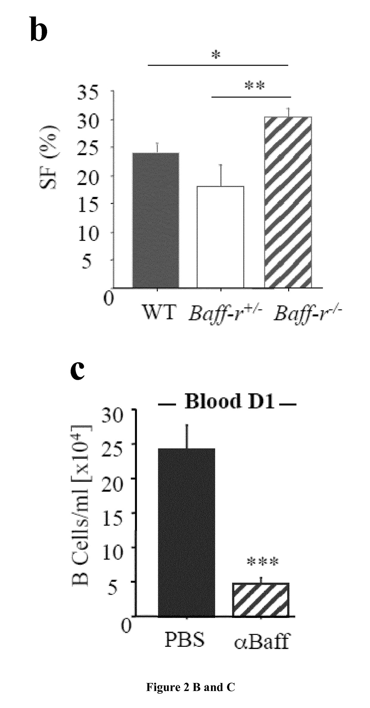 Method of predicting survival time in myocardial infarction patients by measuring BAFF levels