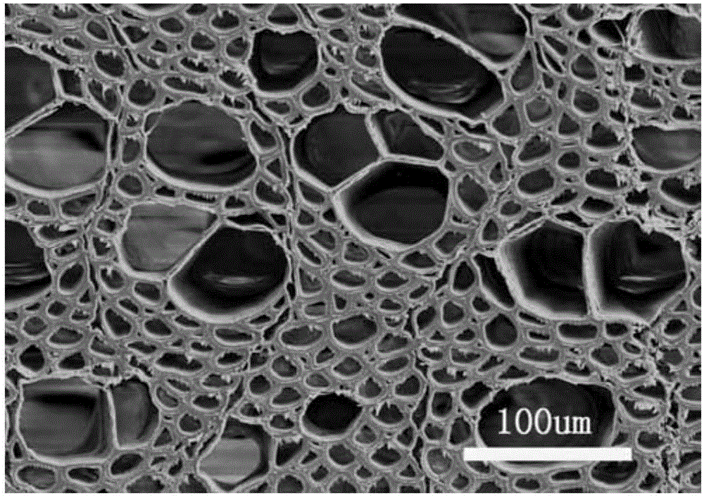 Production method of compressed compact carbonized wood