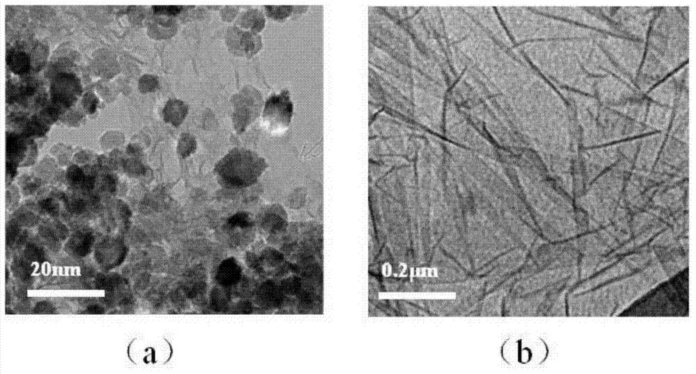 Preparation method of titanium dioxide/graphene composite material