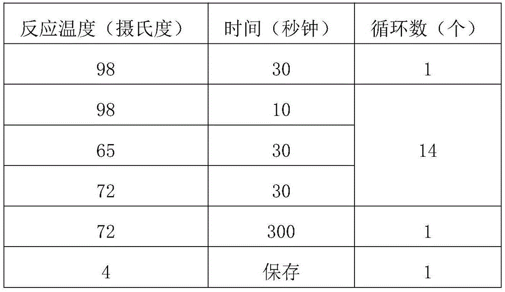 Plasma cfDNA (cell-free deoxyribonucleic acid) bi-molecular marker, method for marking and detecting plasma cfDNA and application of plasma cfDNA bi-molecular marker