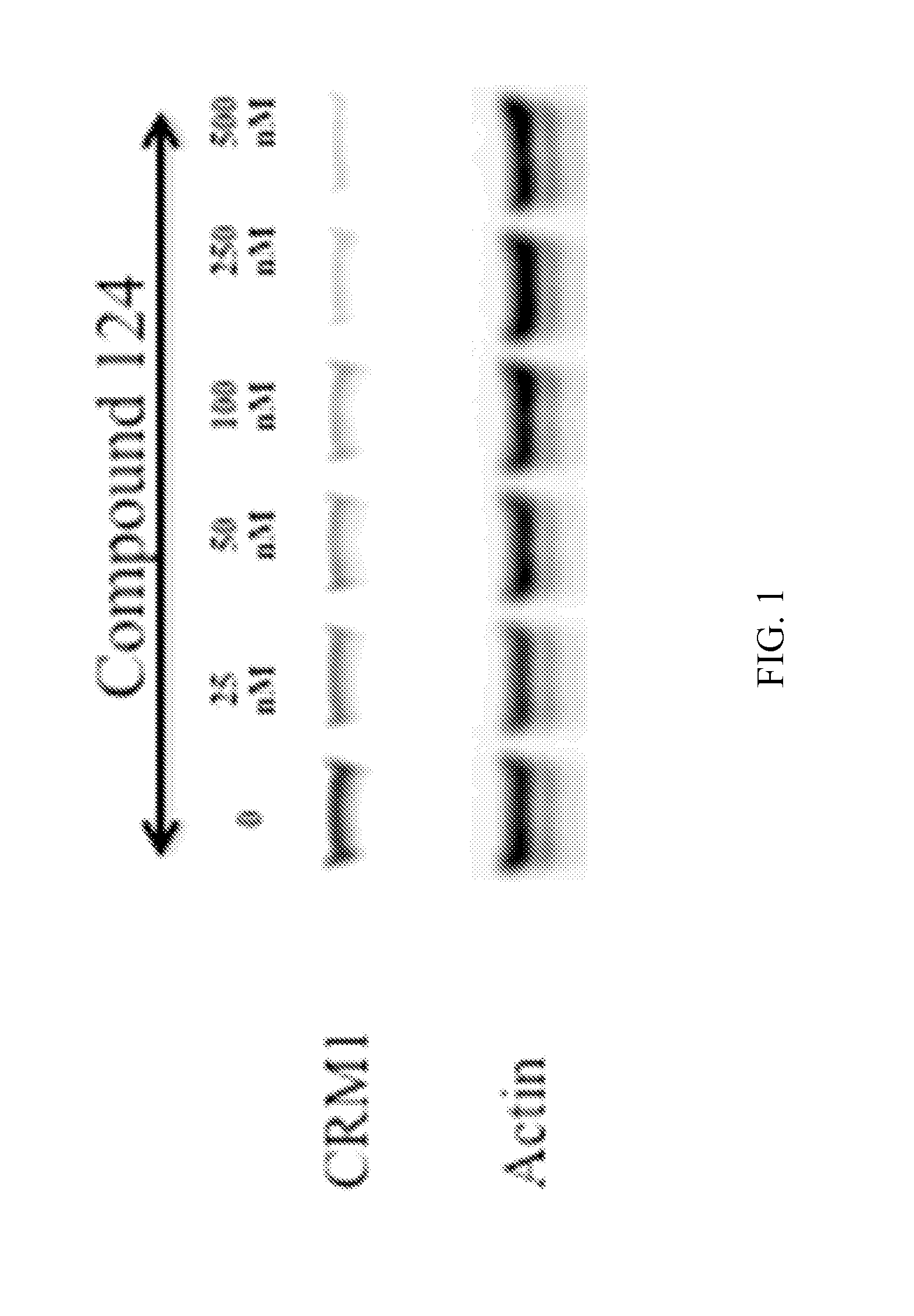 Nuclear Transport Modulators and Uses Thereof