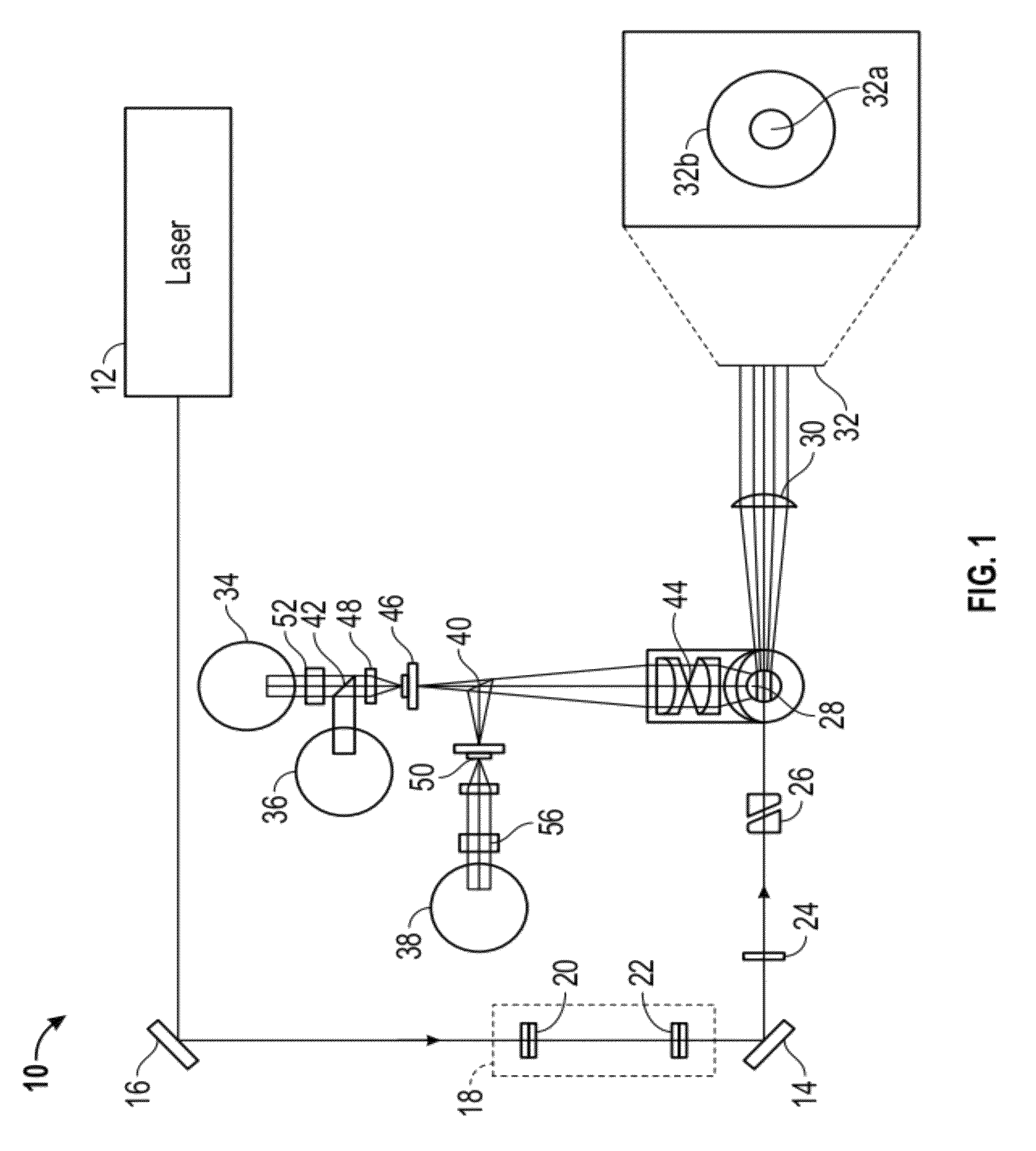 Basophil analysis system and method