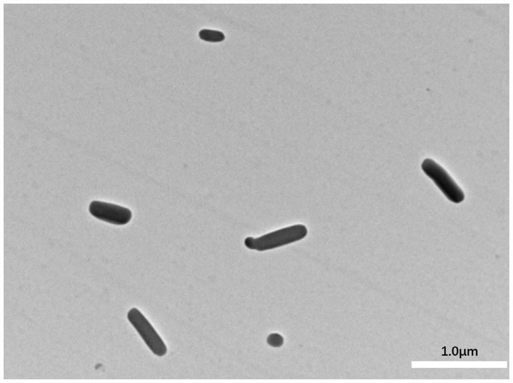 A kind of loratadine nano crystal and preparation method thereof