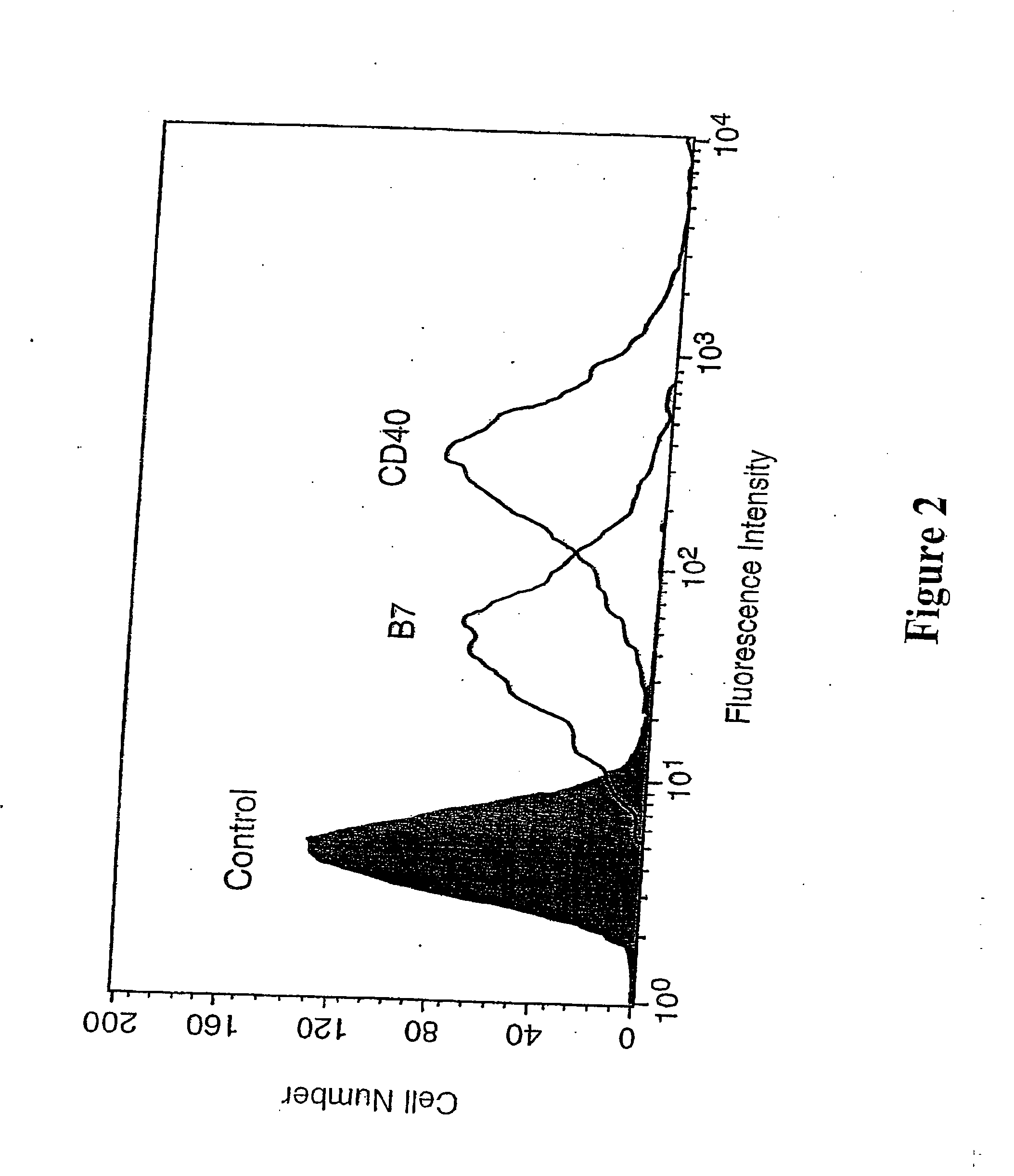 Model membrane systems