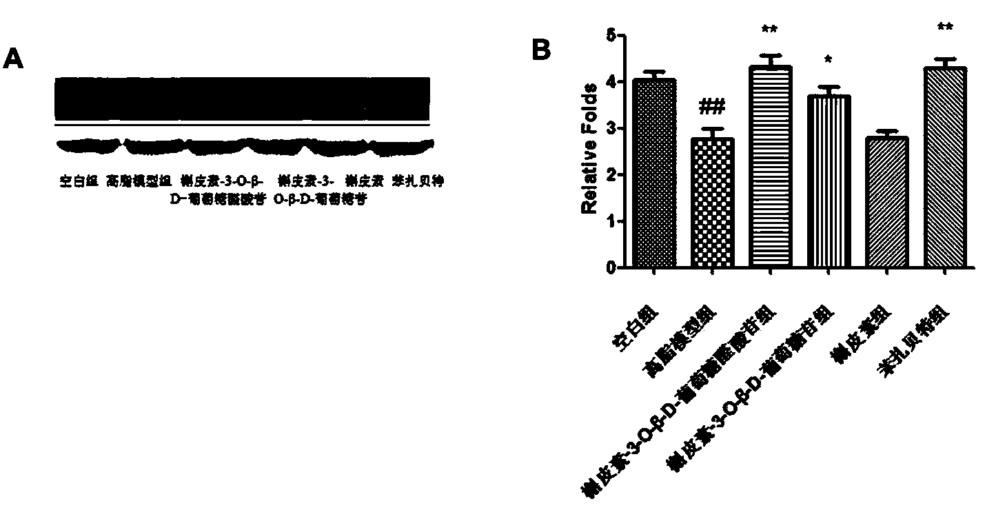 Application of quercetin-O-glucoside derivative to treatment of lipid metabolism disorders