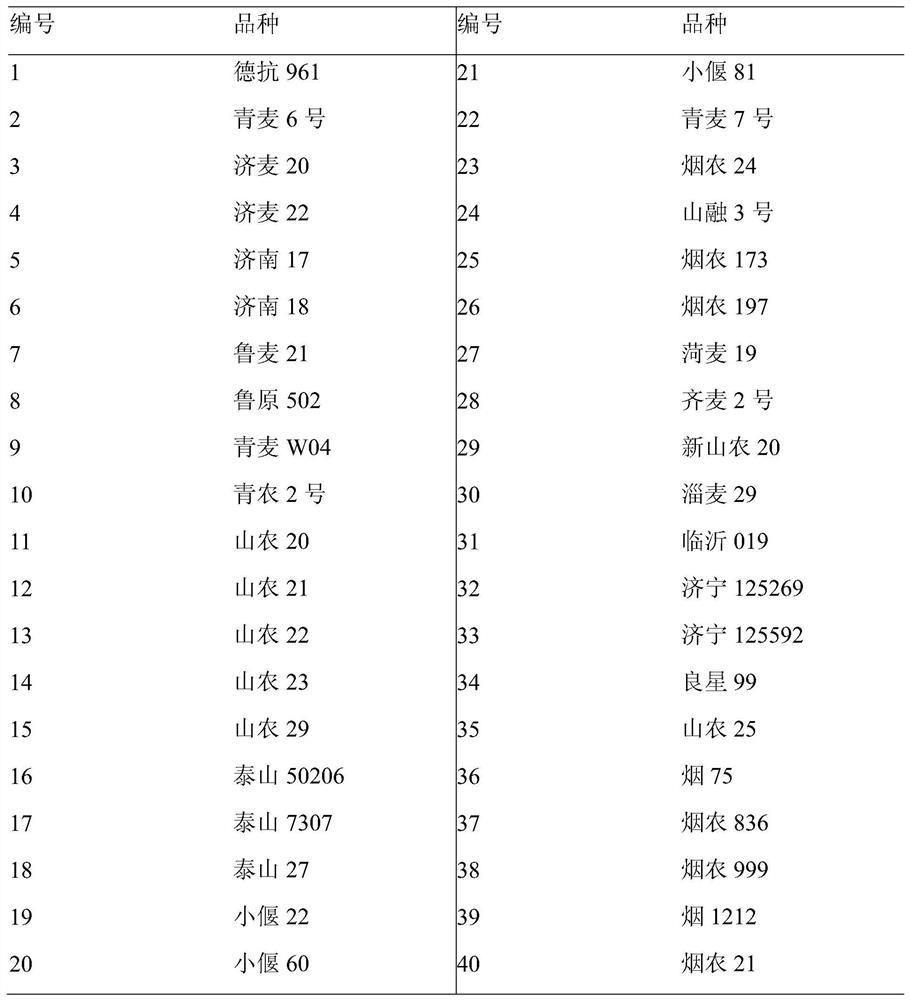 A method for identification of salt tolerance of different wheat varieties during germination