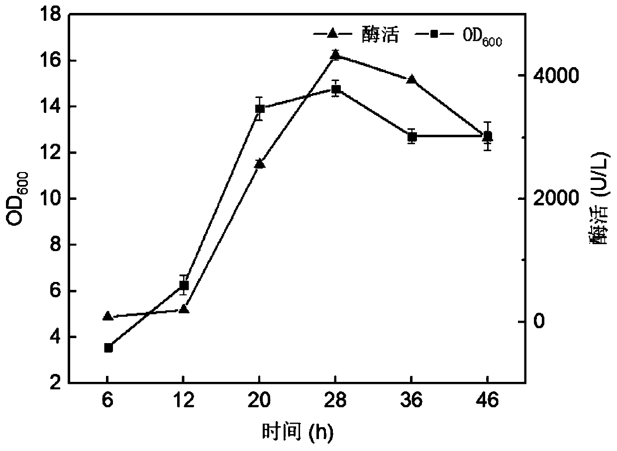 Heparin lyase mutant and recombinant expression method thereof