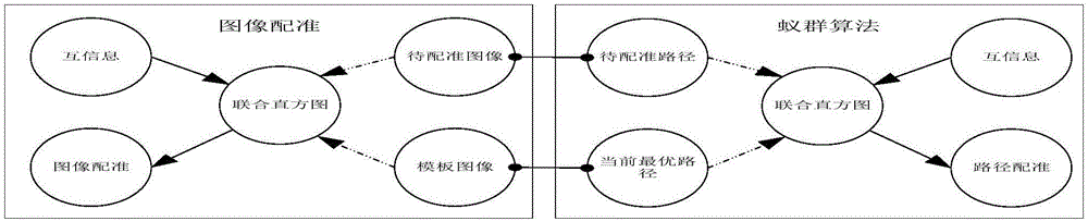 Particle swarm optimization method based on mutual information similarity strategy