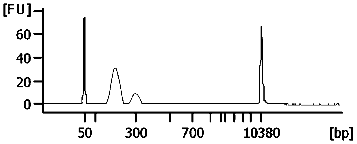 A detection method and application of lung cancer gene