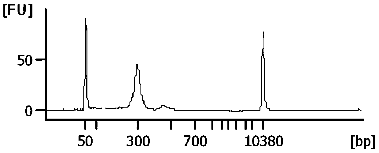 A detection method and application of lung cancer gene