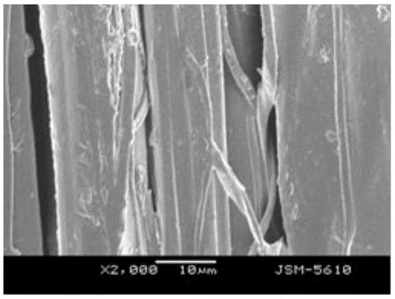 Method for graft modification of silks