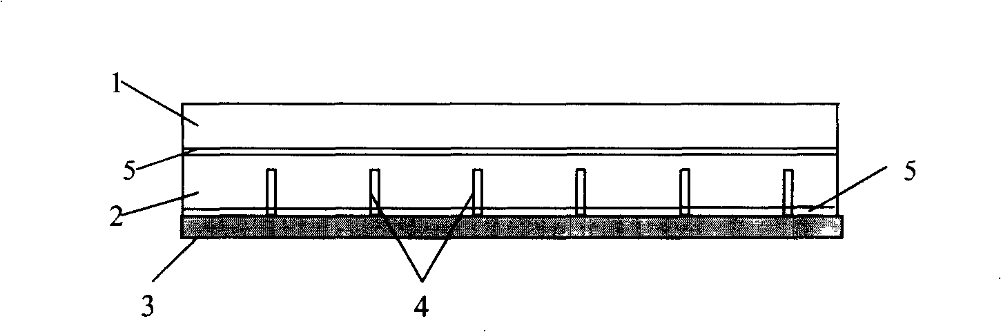 Deck installation structure of big-span steel bridge