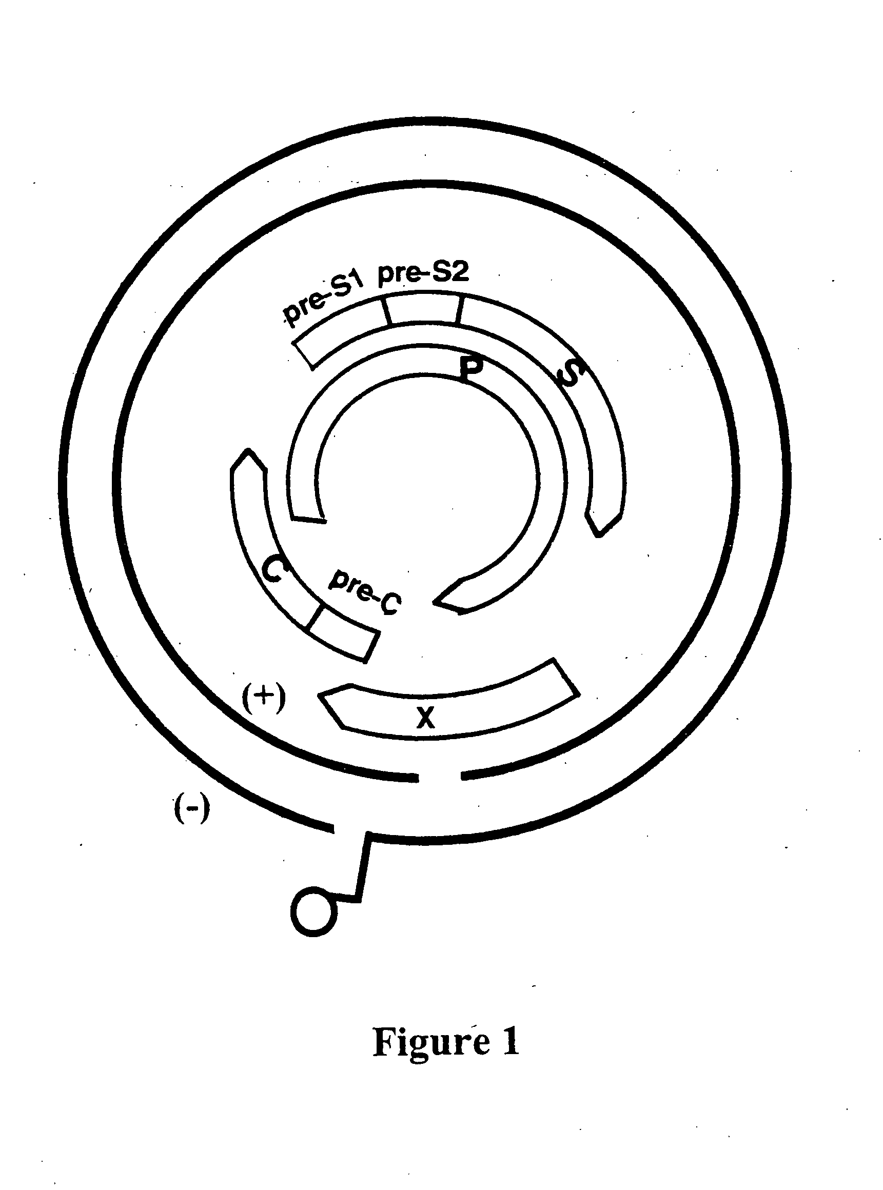 Viral variants