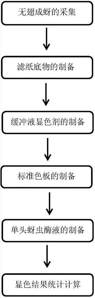 Method for detecting non-specific esterase activity of aphids and detection reagent box