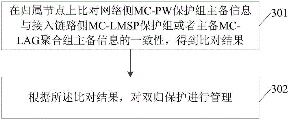 Hybrid configuration dual-homing protection switching method, device and system for packet transmission network