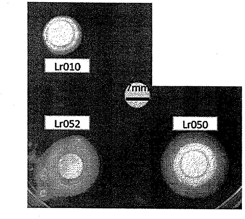 Bacterial compositions for prophylaxis and treatment of degenerative disease