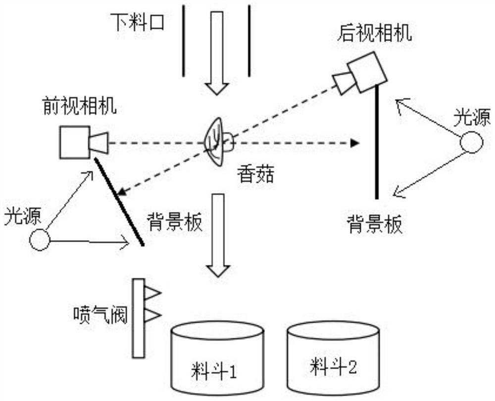 Image recognition algorithm capable of carrying out grade classification on shiitake mushrooms