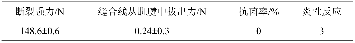 Variable cross-section porous strip-shaped suture line for promoting tendon healing and preparation method thereof