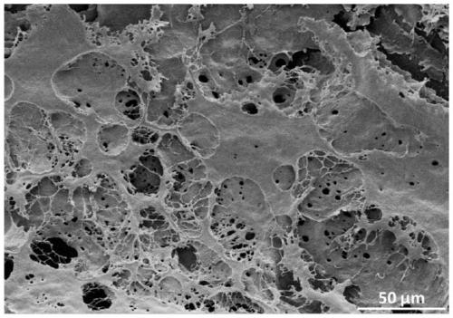 Variable cross-section porous strip-shaped suture line for promoting tendon healing and preparation method thereof