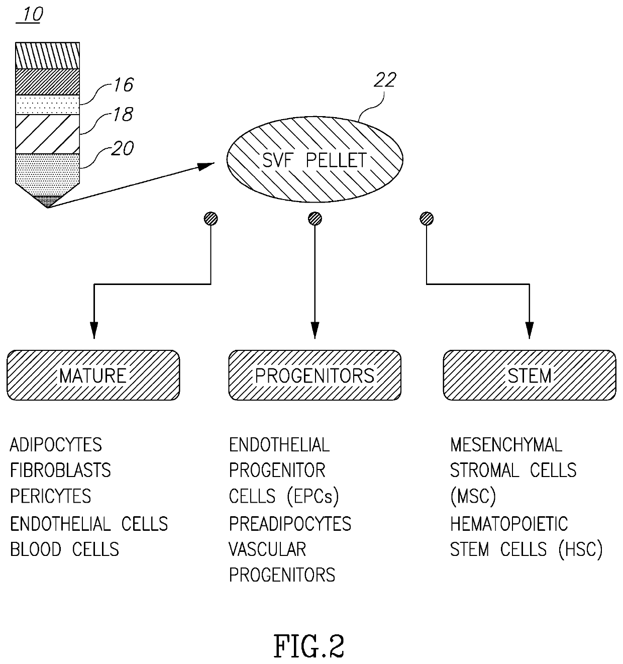 System and method for harvesting autologous adipose tissue