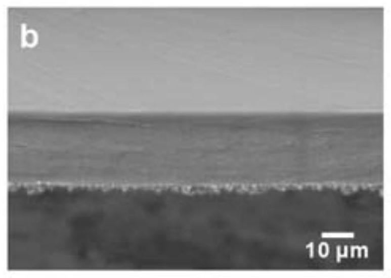 Composite diaphragm for lithium metal secondary battery and preparation method and application of composite diaphragm