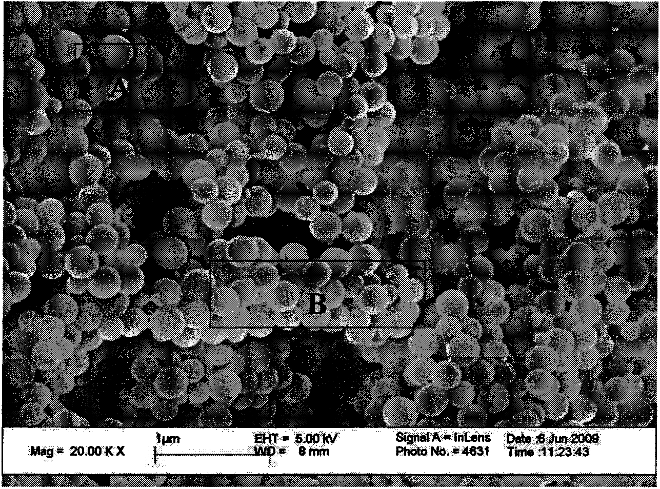 Lyophobic and oleophylic micro nano-coatings applied to of oil filtering dehydration and preparation method thereof