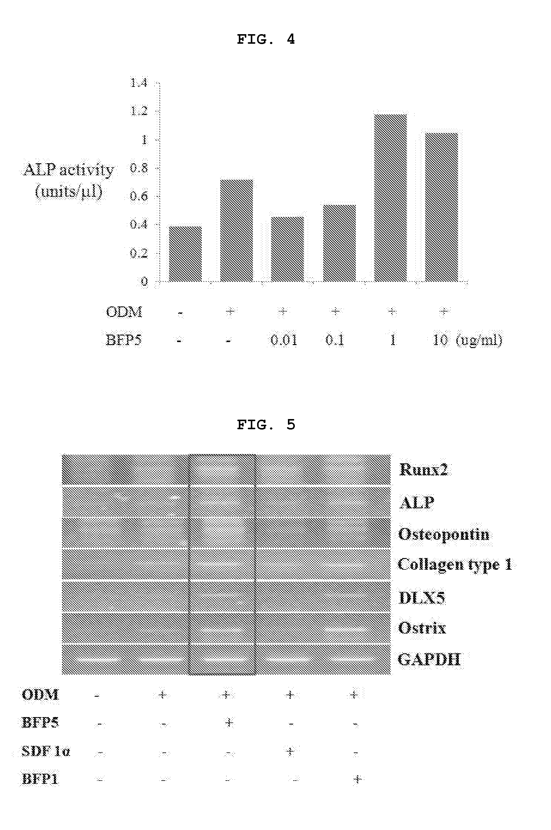 Peptide for promoting osteogenic differentiation or vascularization and use thereof