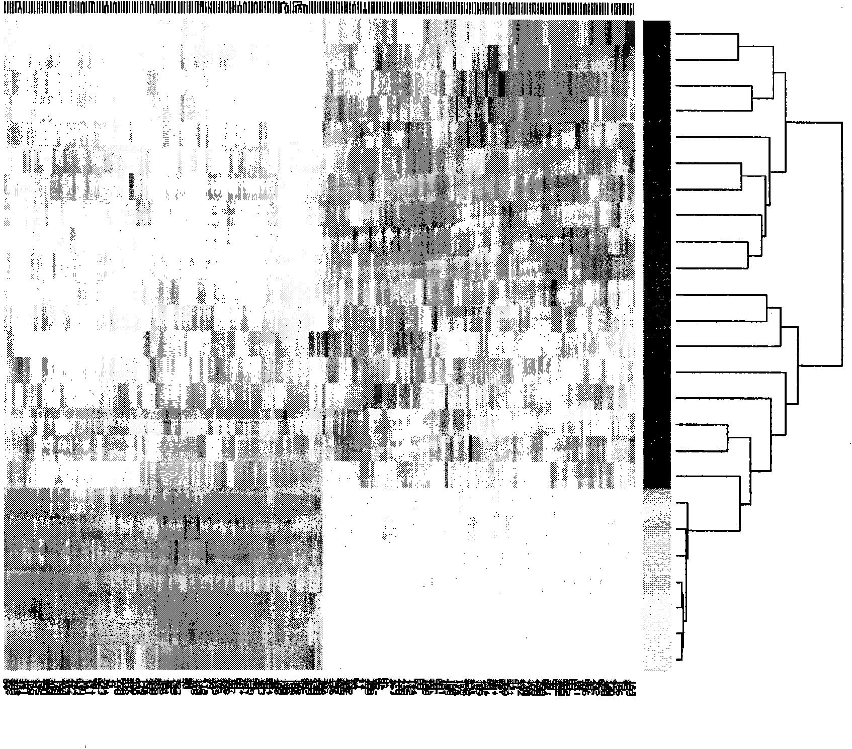 Method for the analysis of ovarian cancer disorders