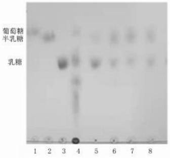 A kind of β-galactosidase gala and its application