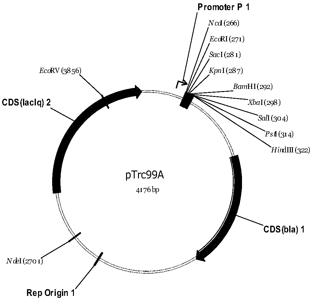 [Alpha]-bisabolol synthetic plasmid as well as construction method and escherichia coli engineered strain thereof