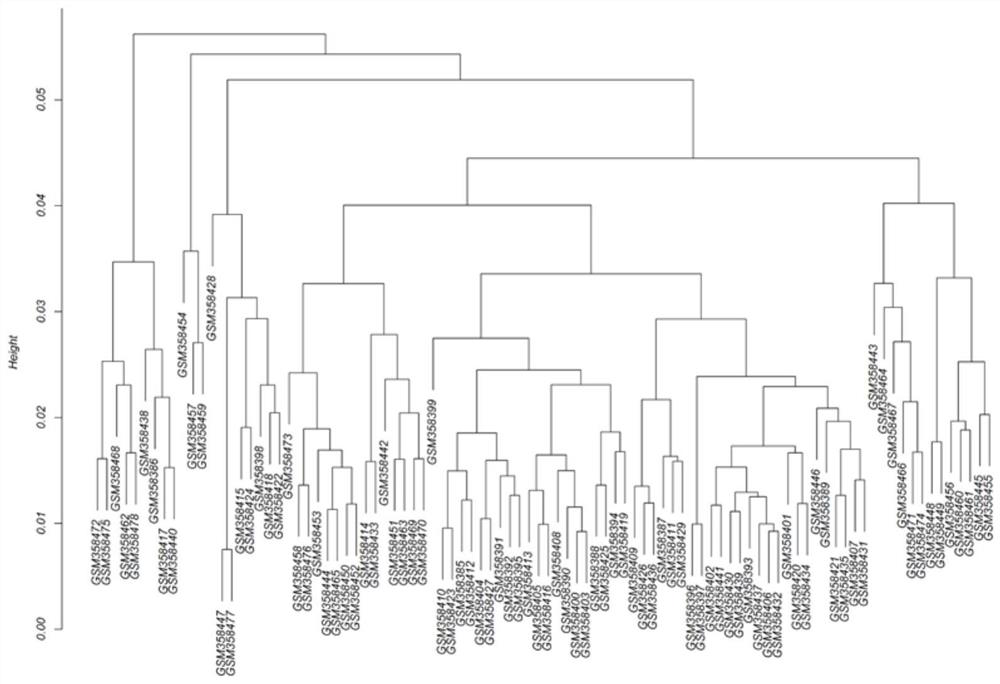 A marker gene for predicting recurrence of stage II colorectal cancer and its application