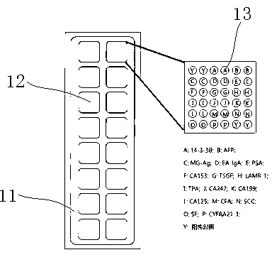 Combined general check protein chip for early-stage cancers mainly comprising lung cancer