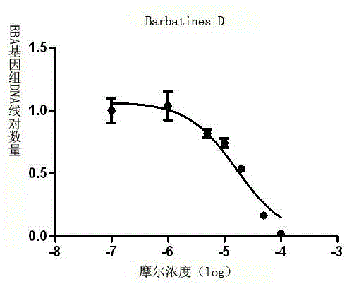 Scutellaria barbata extract as well as preparation method and application thereof